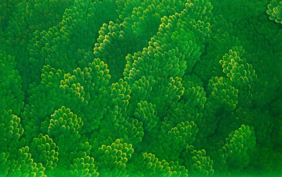 GreenForest(3), oil on canvas 2026 - 윤겸