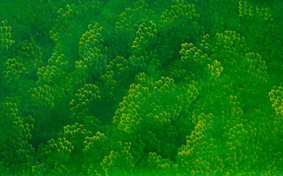 GreenForest, 2016 - 윤겸