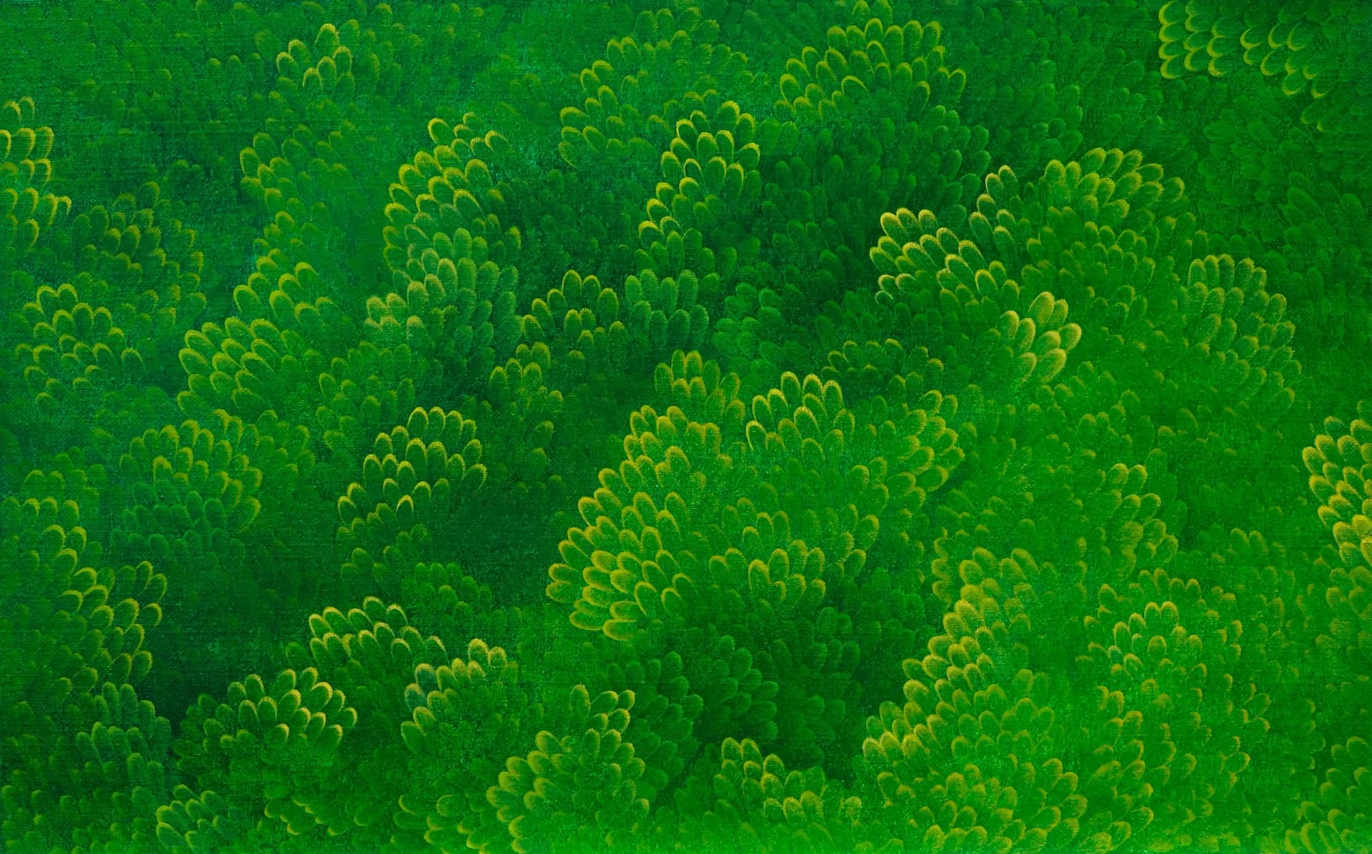 GreenForest, 2016 - 윤겸