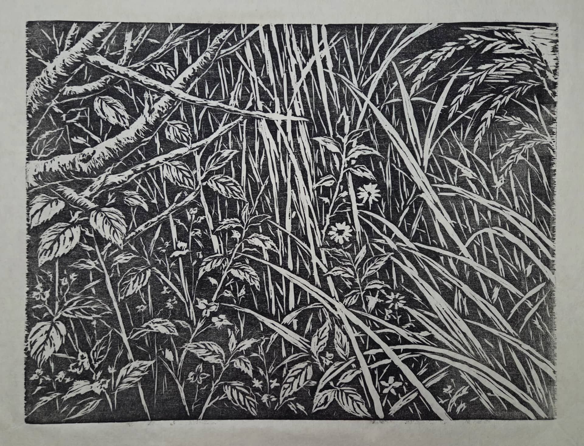 우리, 함께 피는 자리, Woodcut on Hanji, oil-based ink, hand-printed with baren 2026 - 문숙희
