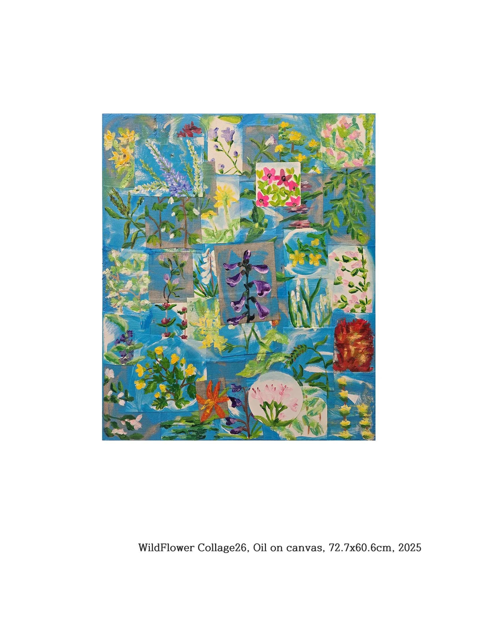 WildFlower Collage 26, Oil on canvas 2025 - 김우주