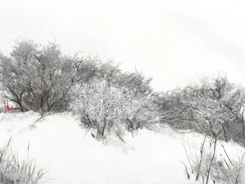 눈밭01, cotton thread on korean paper 2024 - 홍진희