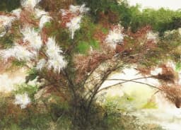 늦여름 숲