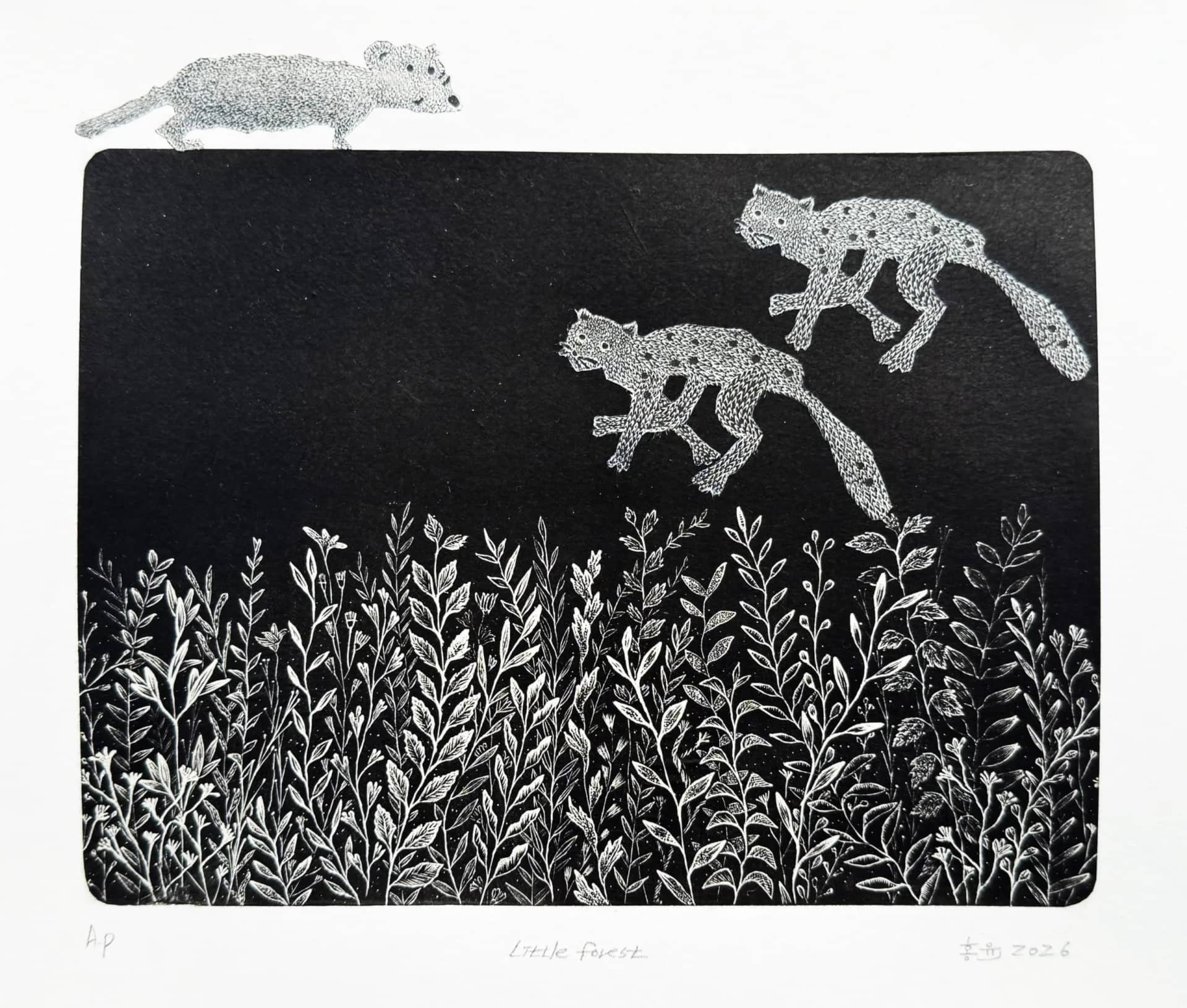 작은 숲, wood engraving 2026 - 홍윤