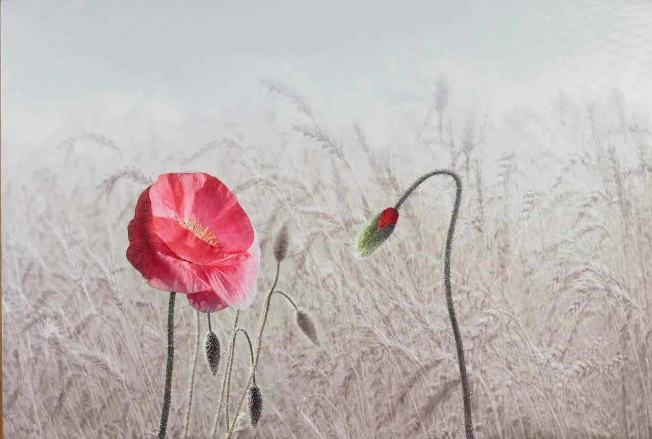 Encore, Signed Limited Edition Fine Art Original Print - 이호철