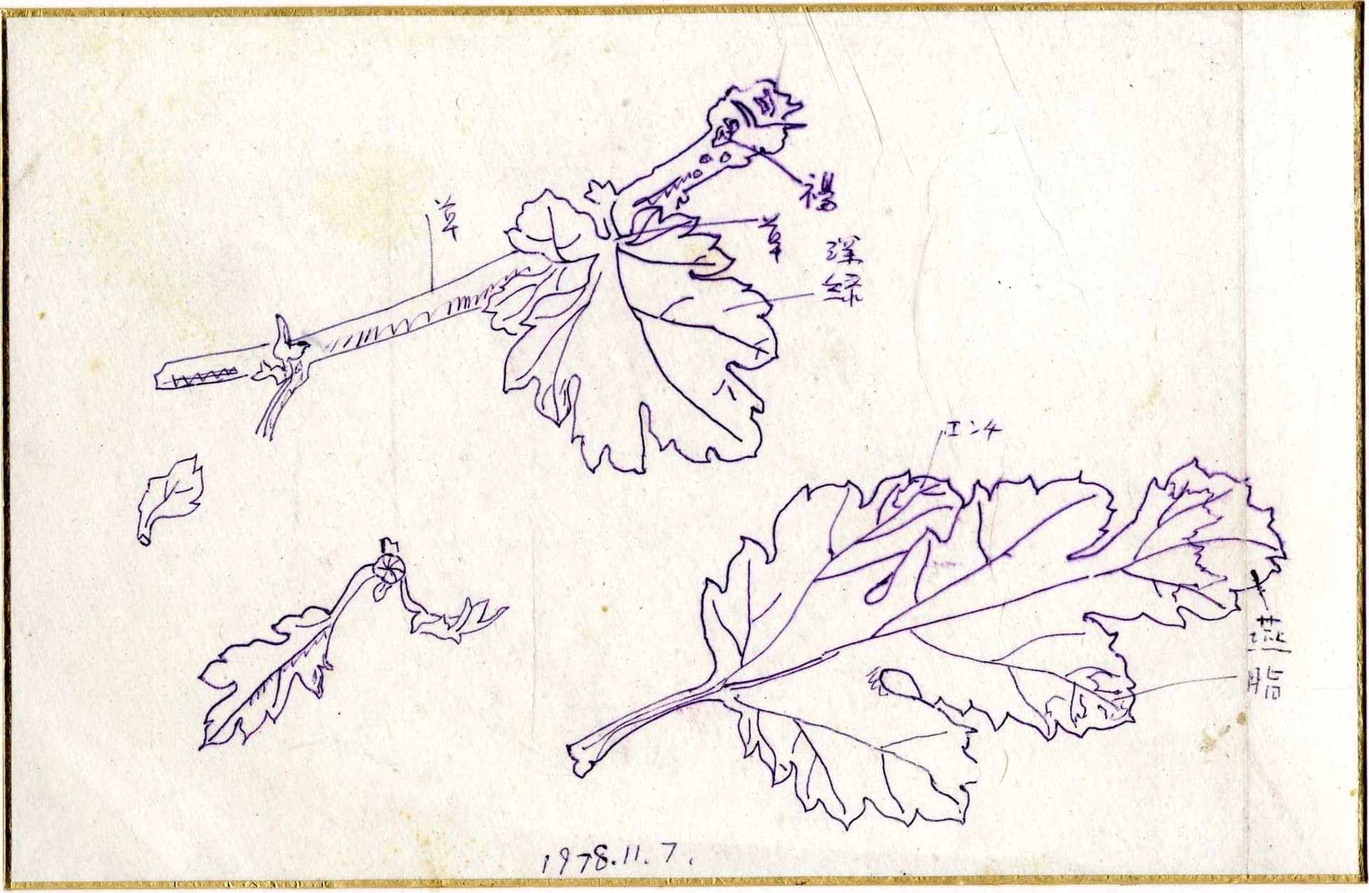 나뭇잎, 종이에 잉크 1978. 11. 7 - 박생광