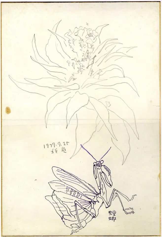 정원의 꽃과 사마귀, 조이에 연필과 잉크 1979년09월25일 - 박생광