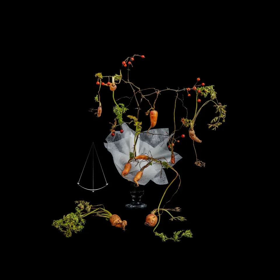 쿼크의 시간#111, Archival pigment print 2024 - 최재란