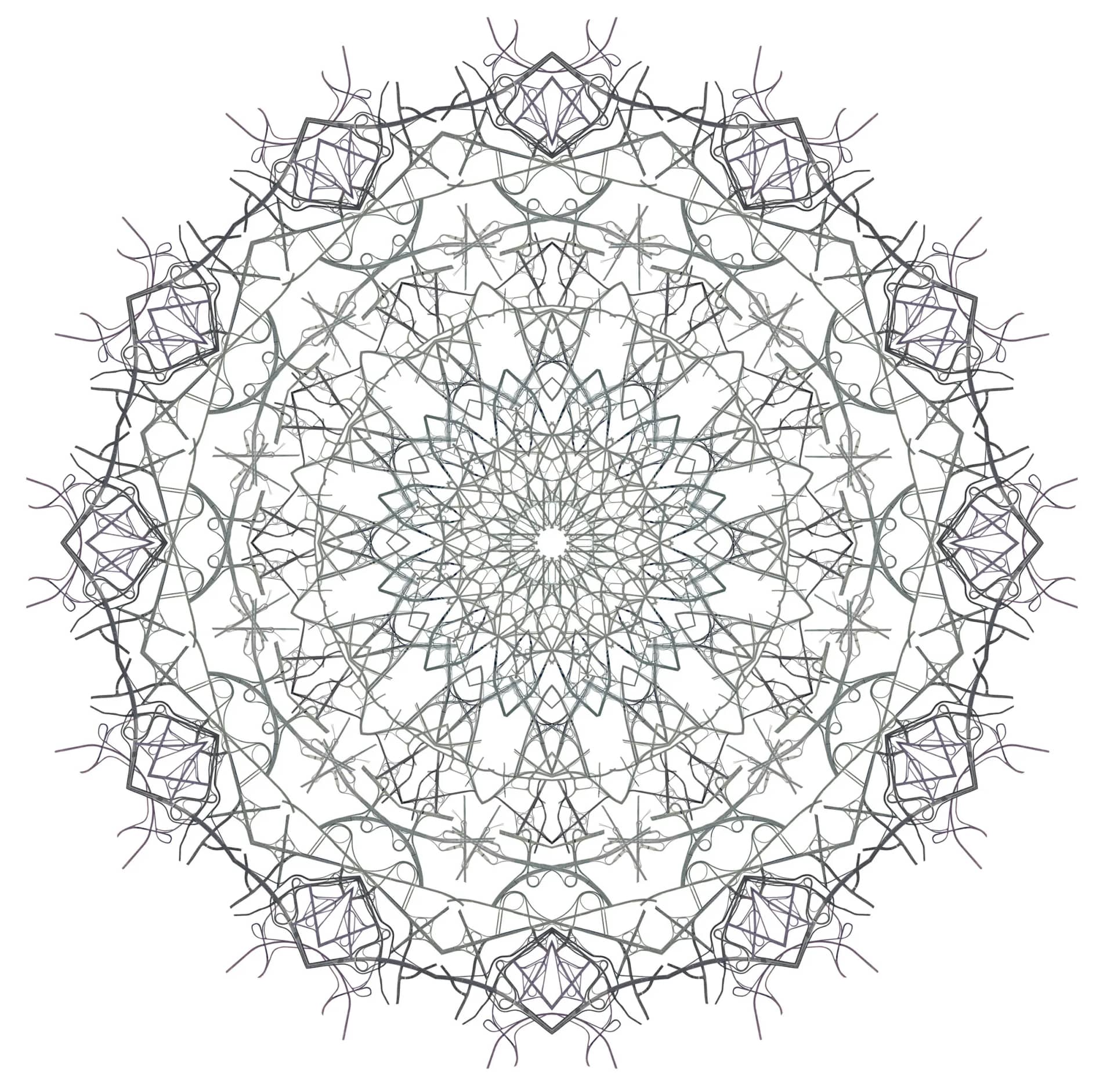 Ornament #3-1, 디지털 프린트, 디아섹 2013 - 김태균