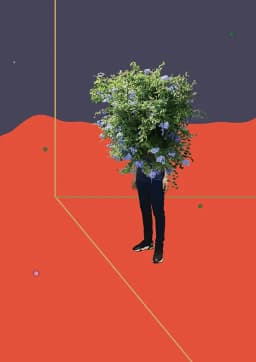 People Tree