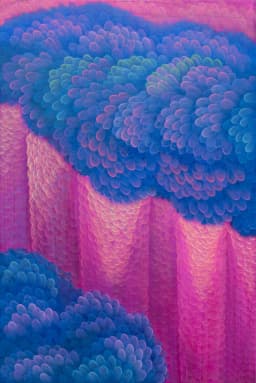 Pink fortress