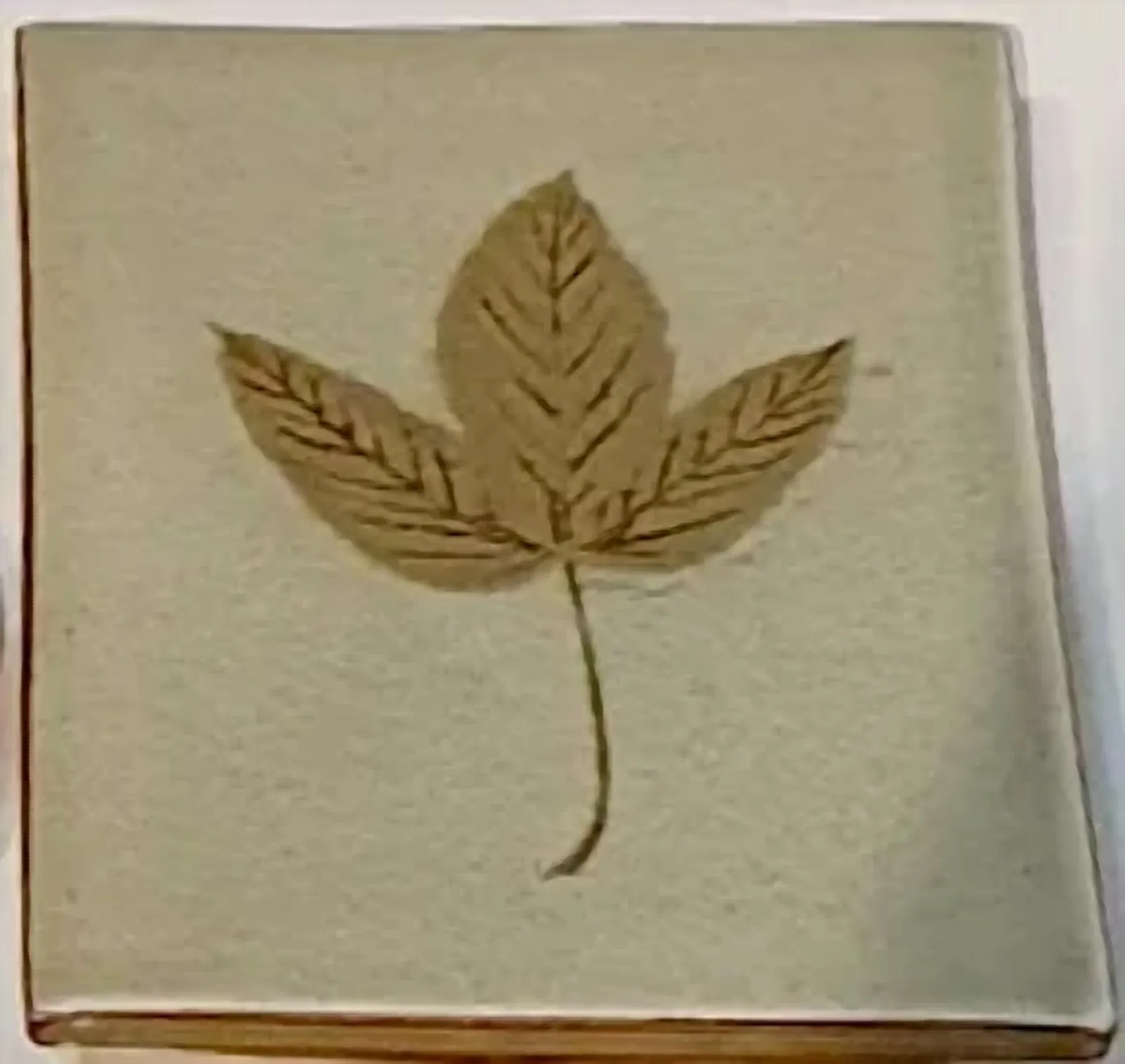 잎파리, 도자 - 김지영